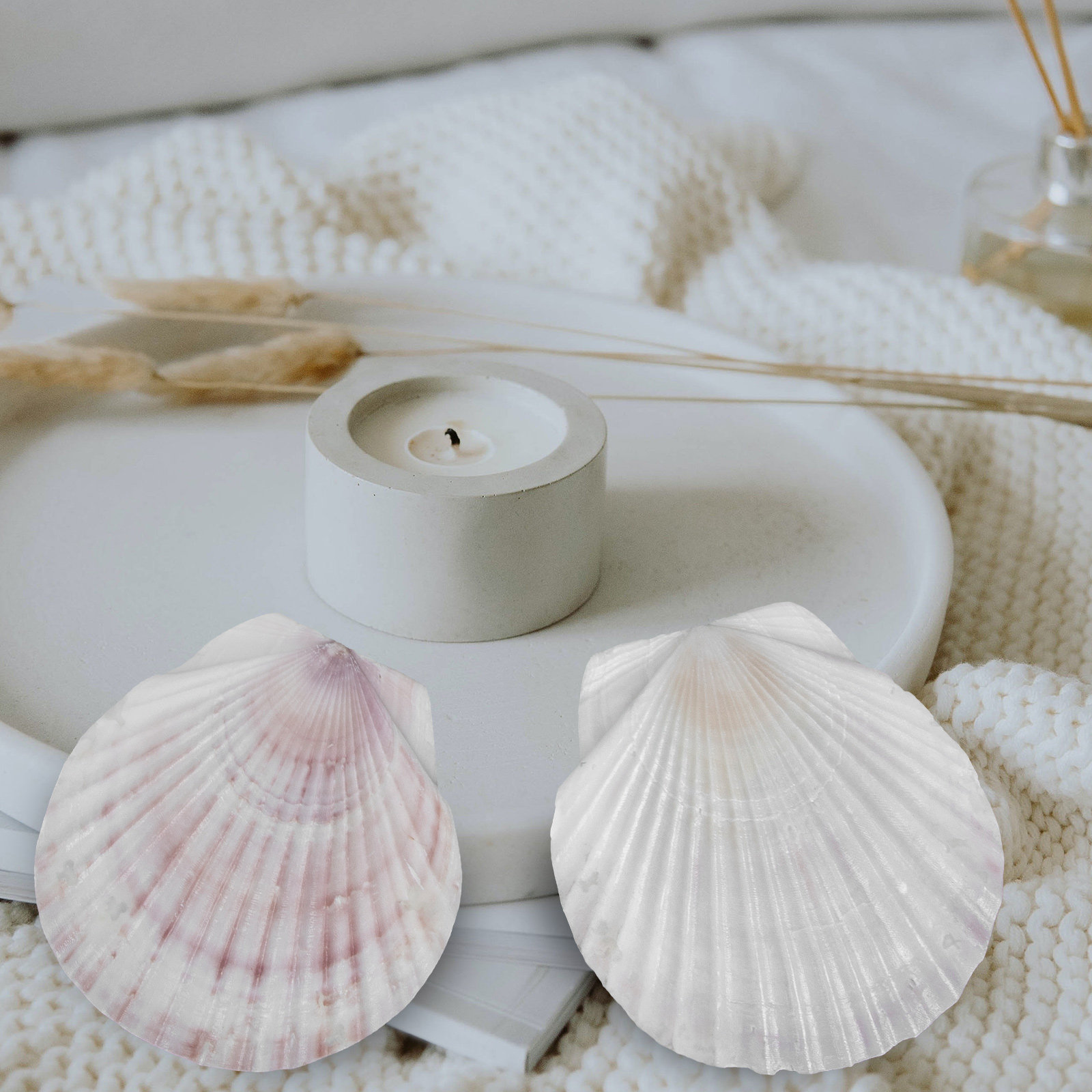 10Pcs Natural Scallop Shells F - огляд і ціна Mom'S Home Cooking