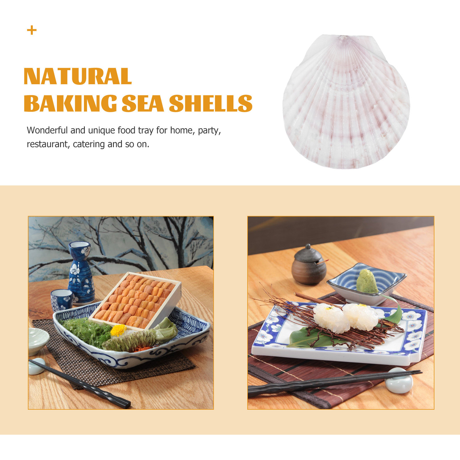 10Pcs Natural Scallop Shells F - огляд і ціна Mom'S Home Cooking