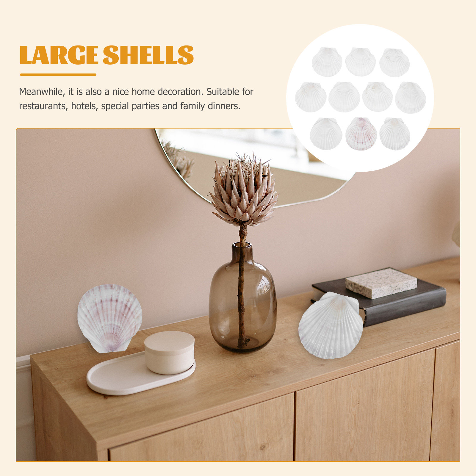 10Pcs Natural Scallop Shells F - огляд і ціна Mom'S Home Cooking